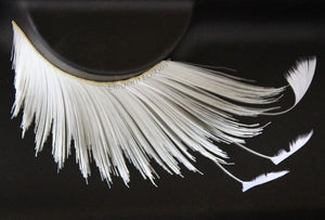 F877 Premium Feather Lashes