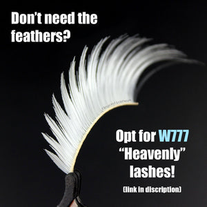 F877 Premium Feather Lashes