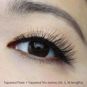 Tapered Trio Flare
